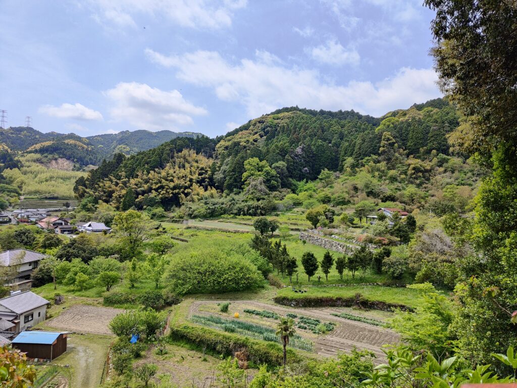 山里の眺め