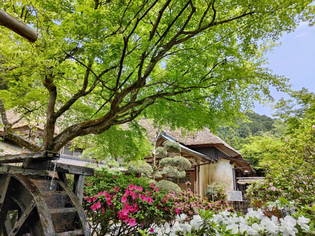 大興善寺　水車　つつじ