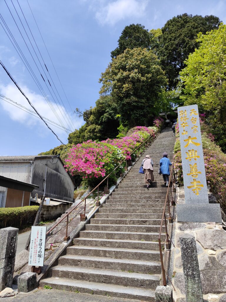 大興善寺　階段