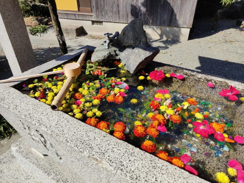 筑後乃国阿蘇神社手水舎花手水