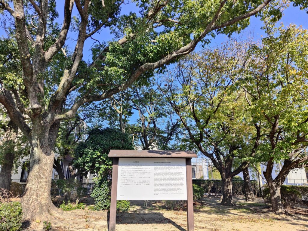 五万騎塚公園の看板と大樹