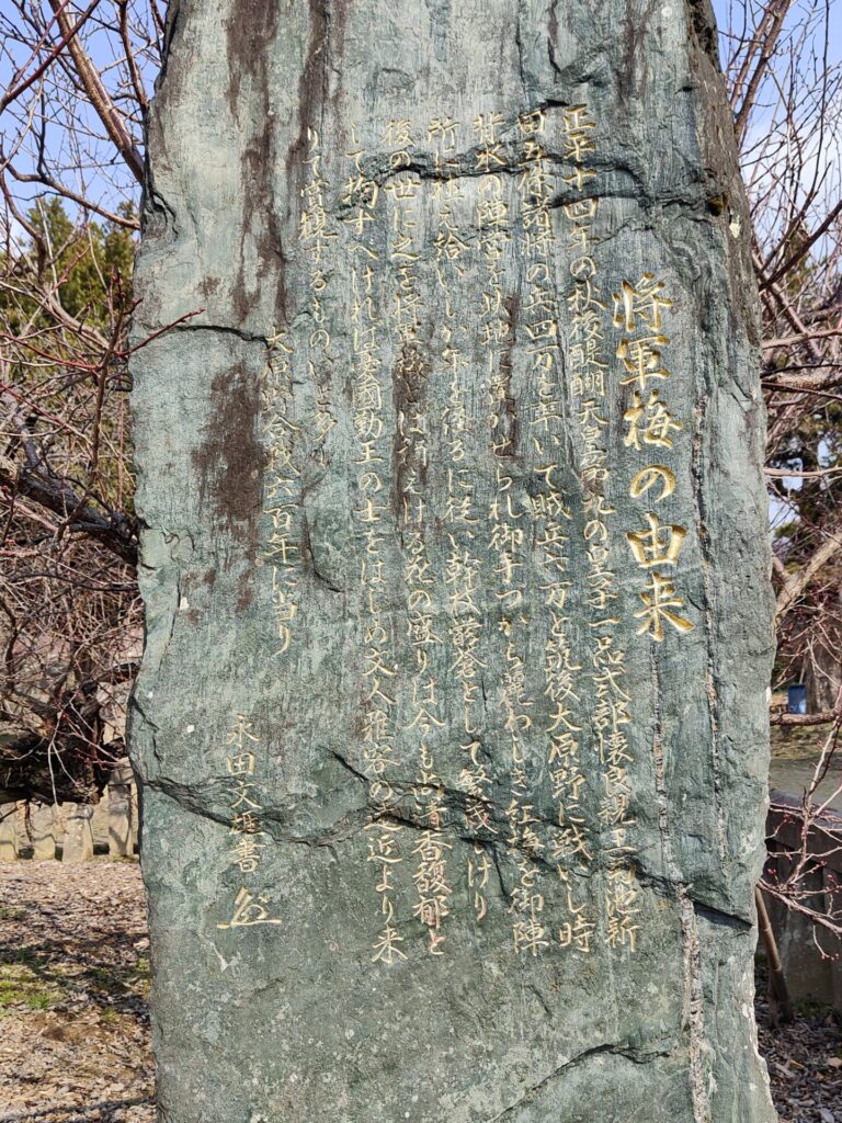 宮ノ陣神社将軍梅由来の石碑