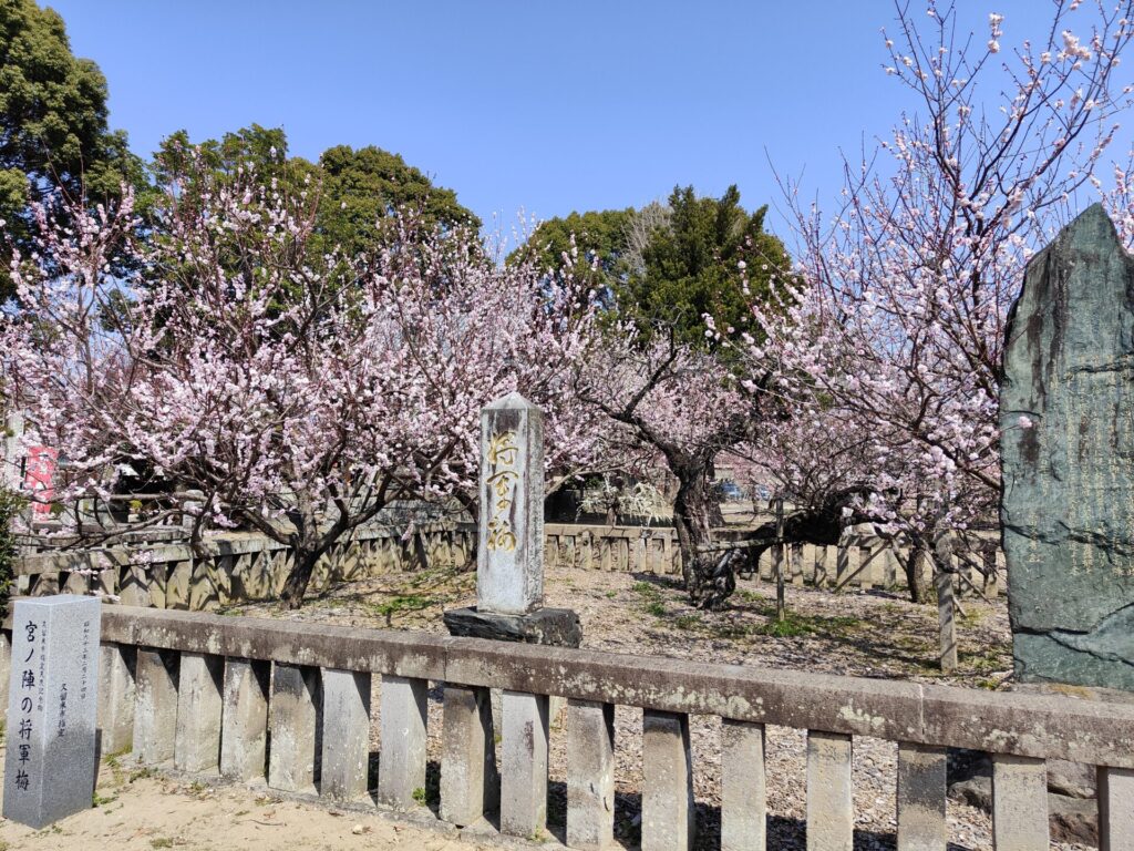 宮ノ陣神社の将軍梅と石碑