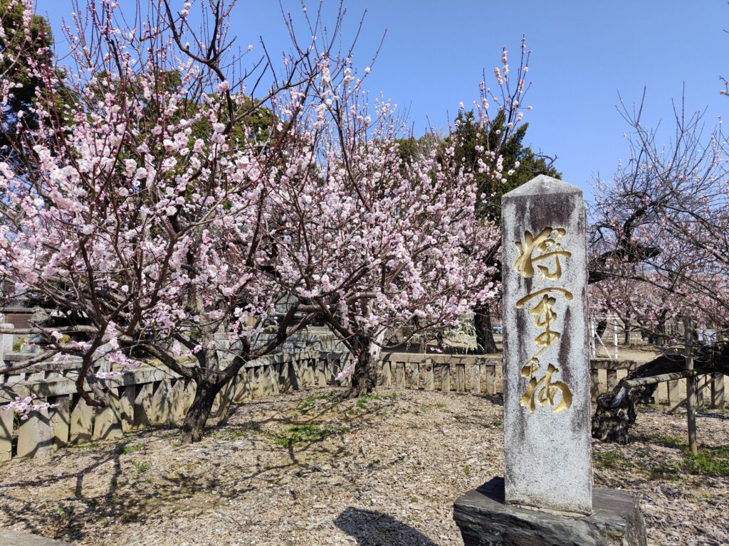 宮ノ陣神社の将軍梅と石碑